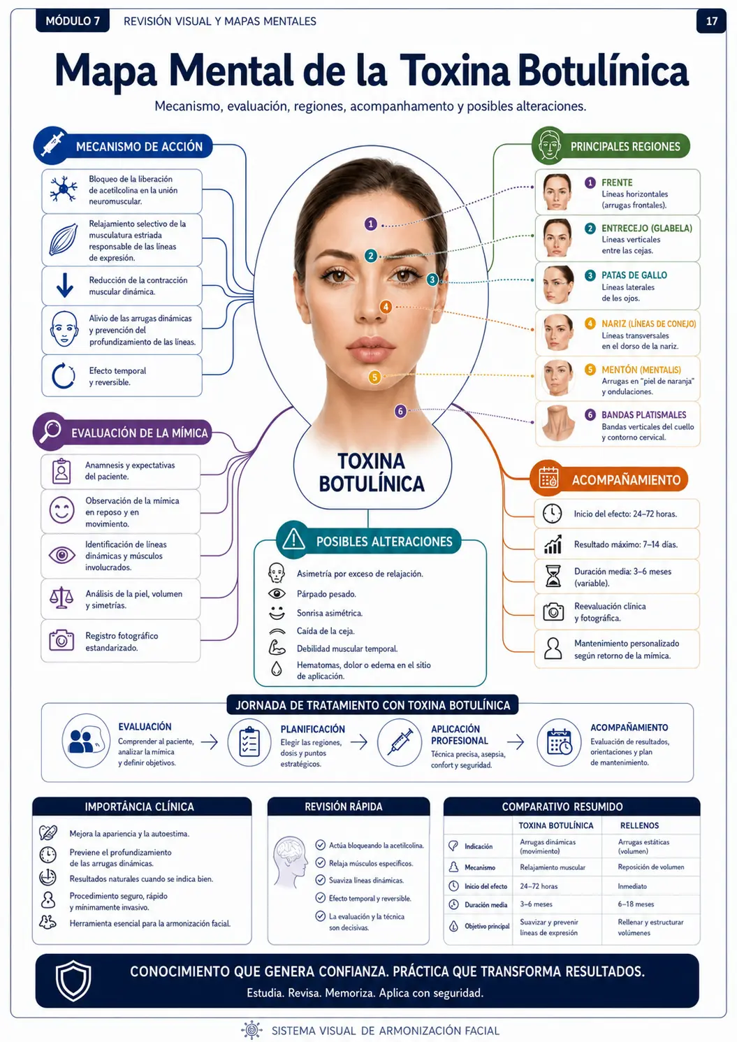 Mapa Mental de la Toxina Botulínica