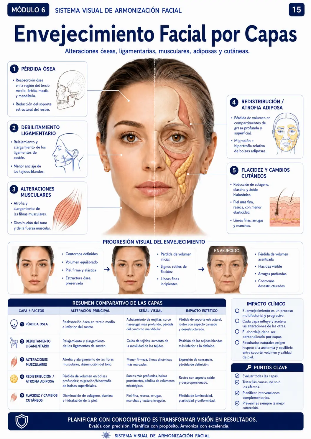 Envejecimiento Facial por Capas